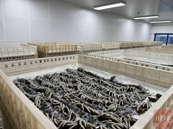 1764144278928490.jpg 1.jpg