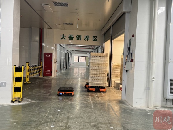 1764144294982507.jpg 2.jpg