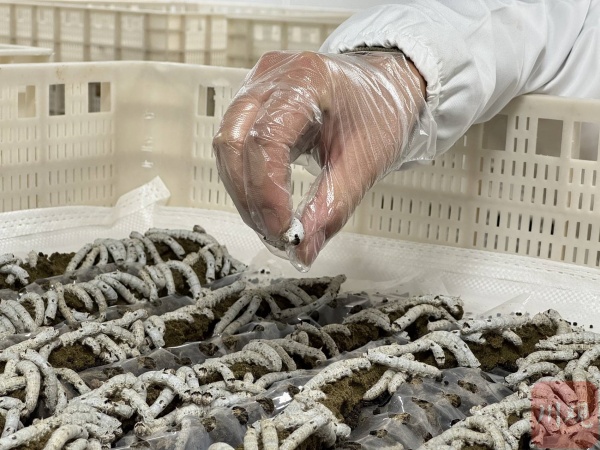 1764144329697881.jpg 3.jpg