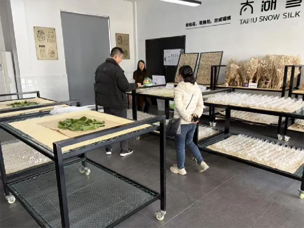 1764814925701918.png bffe9b19-1484-49b3-ba0e-ae6edae03b87.png