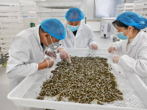 1770775627415040.png 1beebe04-6e8b-4454-882e-590ddf2328a5.png