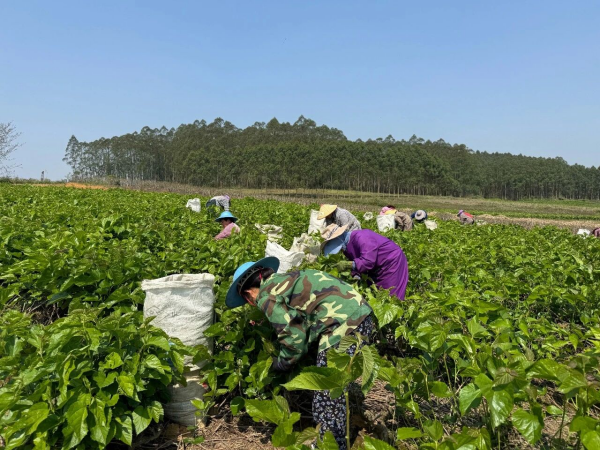 1773803983920109.png ef968c48-aac6-4443-80f8-9a8c13fb54e2.png