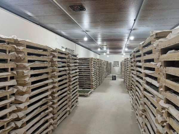 1773804031532226.png 7ae805dc-c5e5-4efb-a75a-389c47fb36f2.png