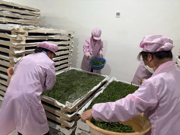 1773804067224153.png 614877f9-0f8f-41d2-a4a2-f4281f4d907f.png