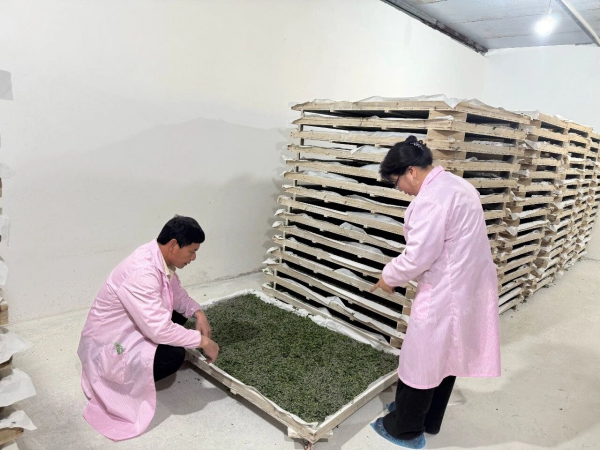 1773804097272881.png 694aaaff-527d-46d4-93a1-aa3bd7a62ecc.png